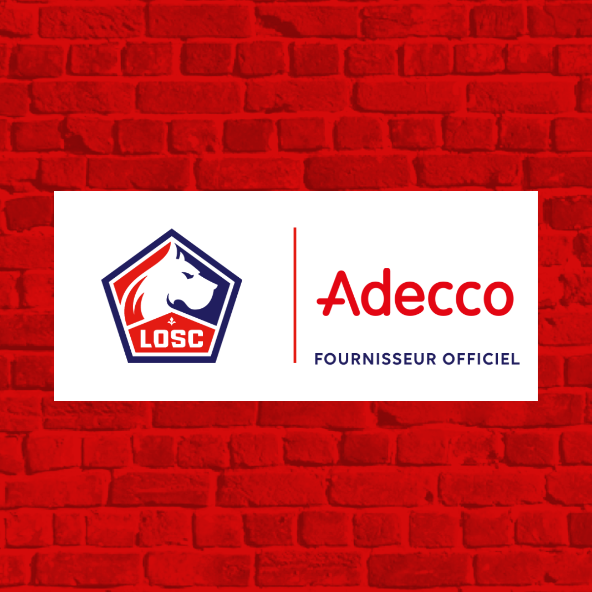 FINAL_ADECCO_CARRE.png