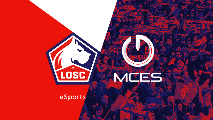 Image TEAM LOSC MCES.jpg