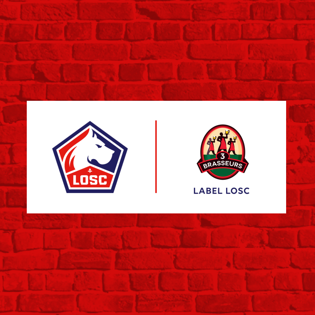 LOSC 20-21 -- Master Partenariat - CARRE - 1200x1200 (1).jpg